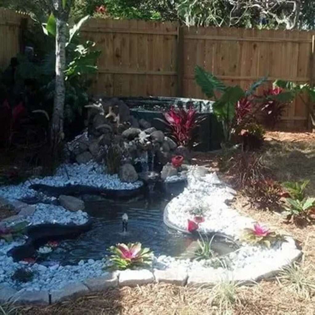 Garden pond done by Fine Design