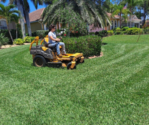 How to Keep Your SWFL Lawn Green All Year. 1 SWFL Lawn Care Tips: A person mowing a beautiful lawn in Port Charlotte, FL.