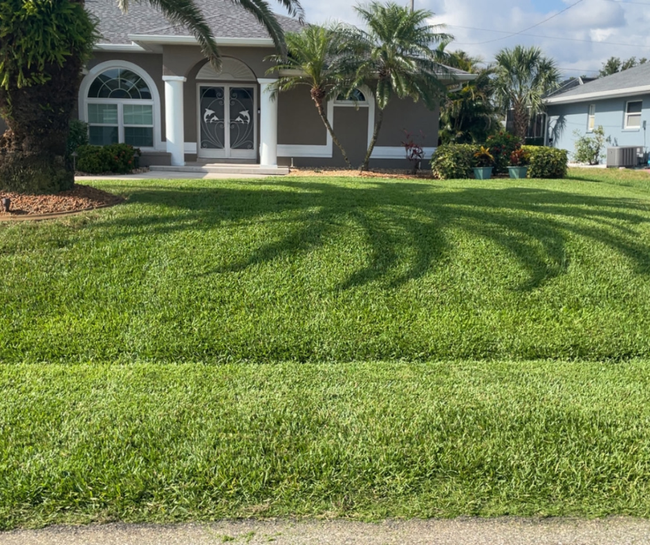 lawn care in north port