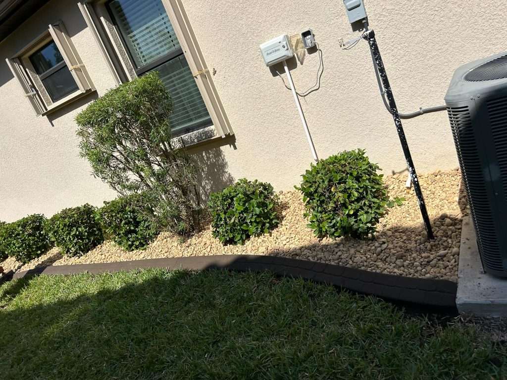 Landscaped area with shrubs and stones