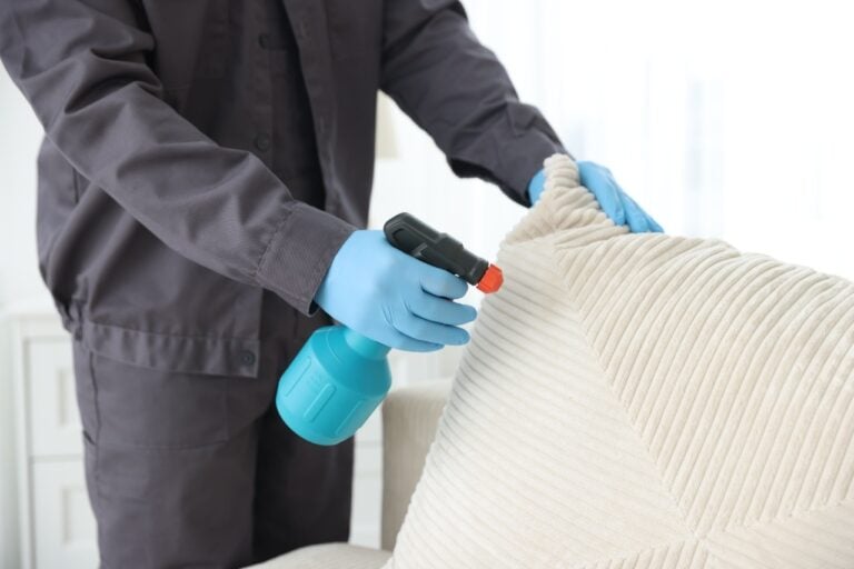 bed bugs control in Port Charlotte FL