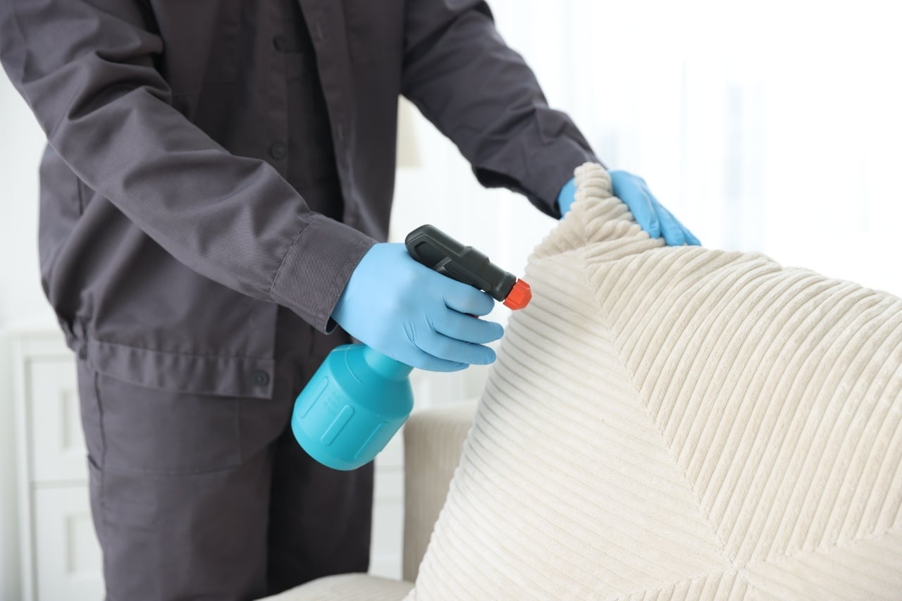 bed bugs control in Port Charlotte FL