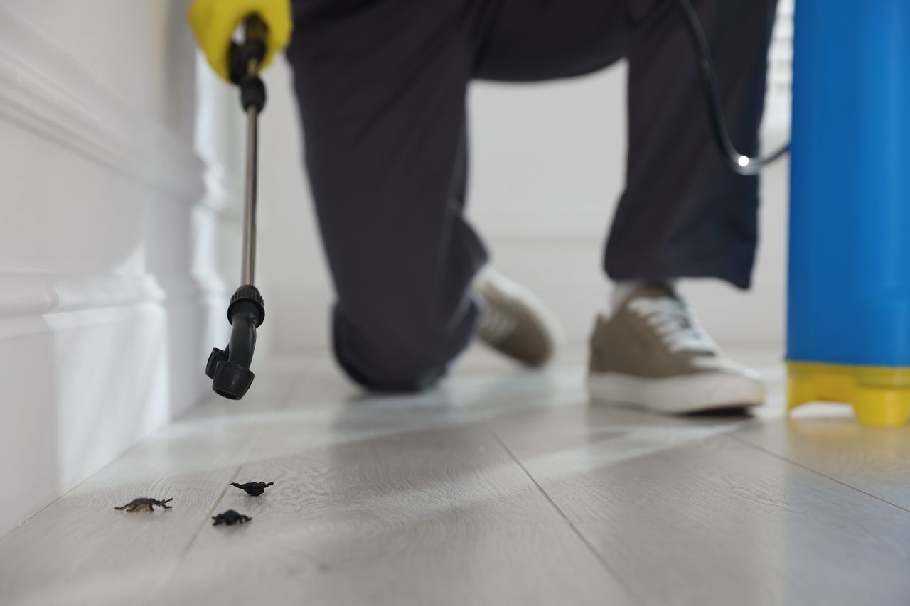pest control Englewood FL