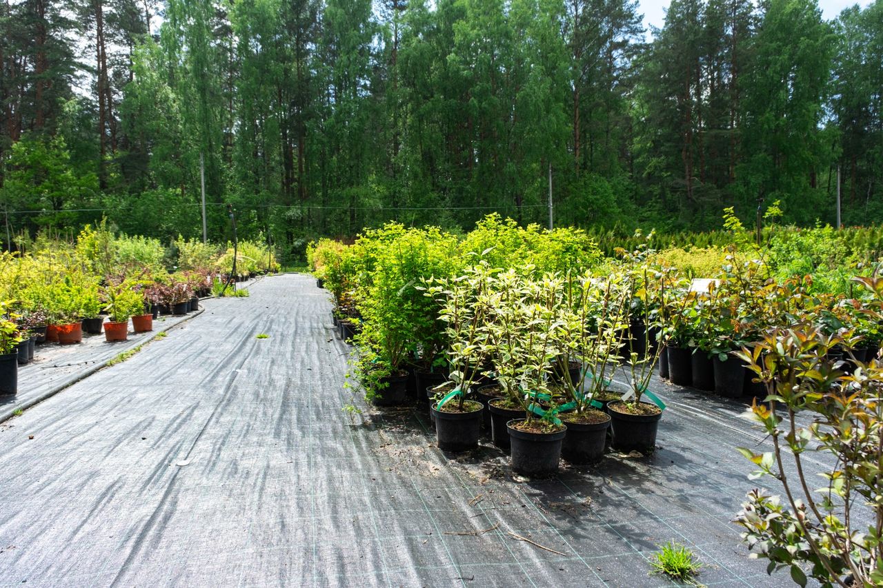 Landscape Supply Port Charlotte FL