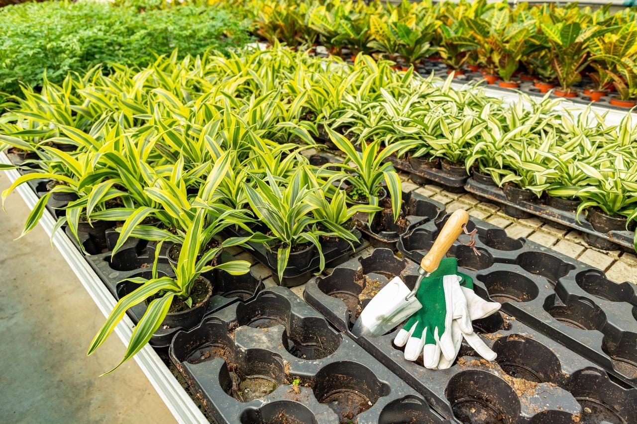 Landscape Supply Service Areas in Port Charlotte, FL 9 landscape supply North Port FL