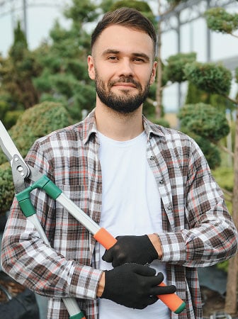 tree trimming Port Charlotte FL
