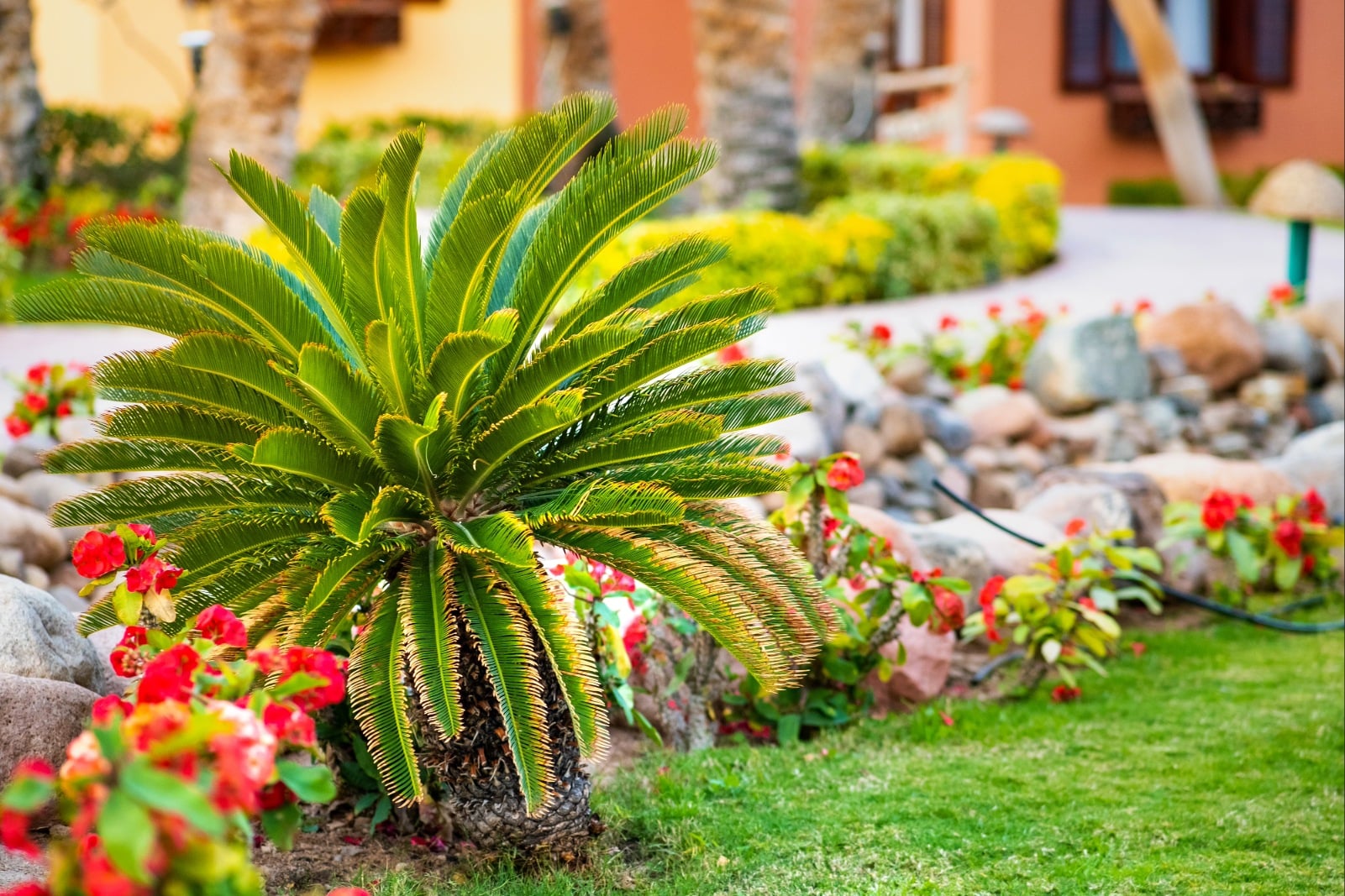 El Jobean landscaping services