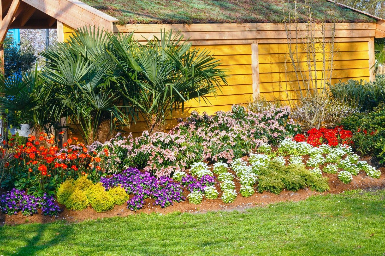 Placida landscaping services