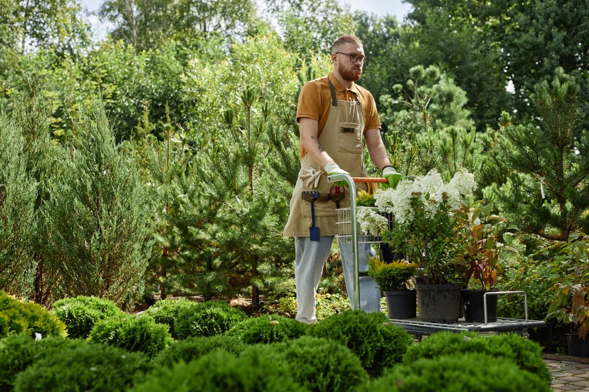 landscape supply El Jobean FL