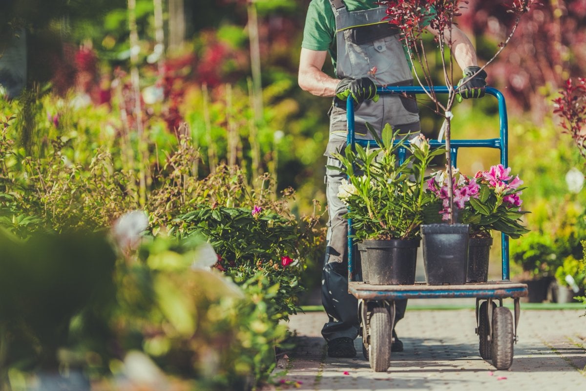 Landscaping company Port Charlotte | Fine Design Outdoor Solutions