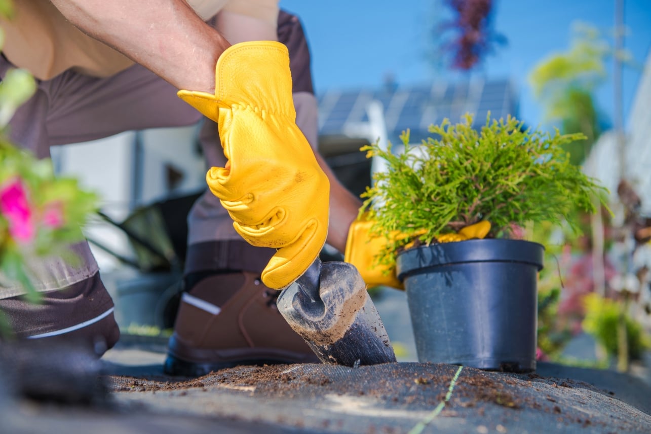 Landscape Supply Service Areas in Port Charlotte, FL 10 landscape supply Rotonda West FL