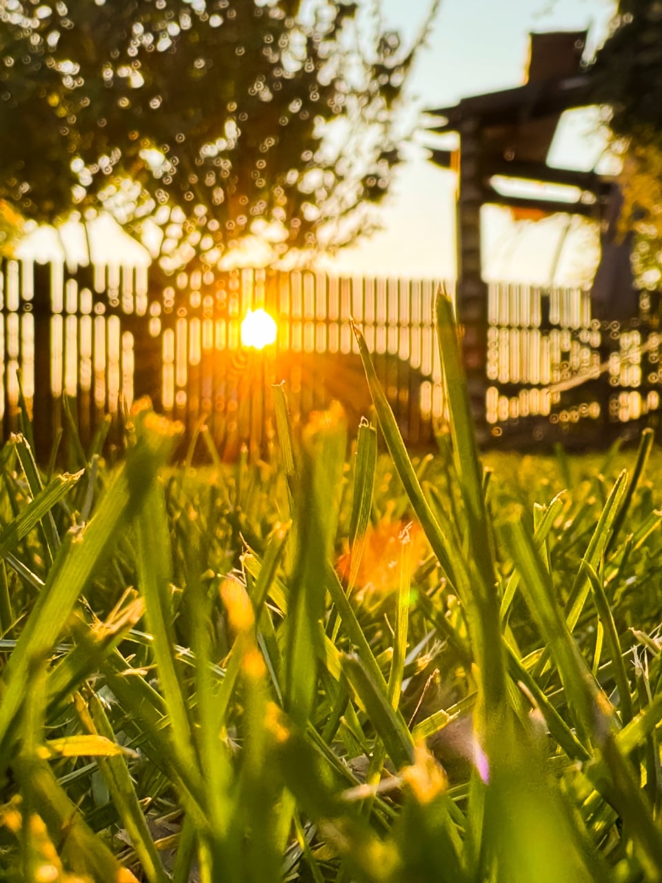 Landscaping company Port Charlotte | Fine Design Outdoor Solutions