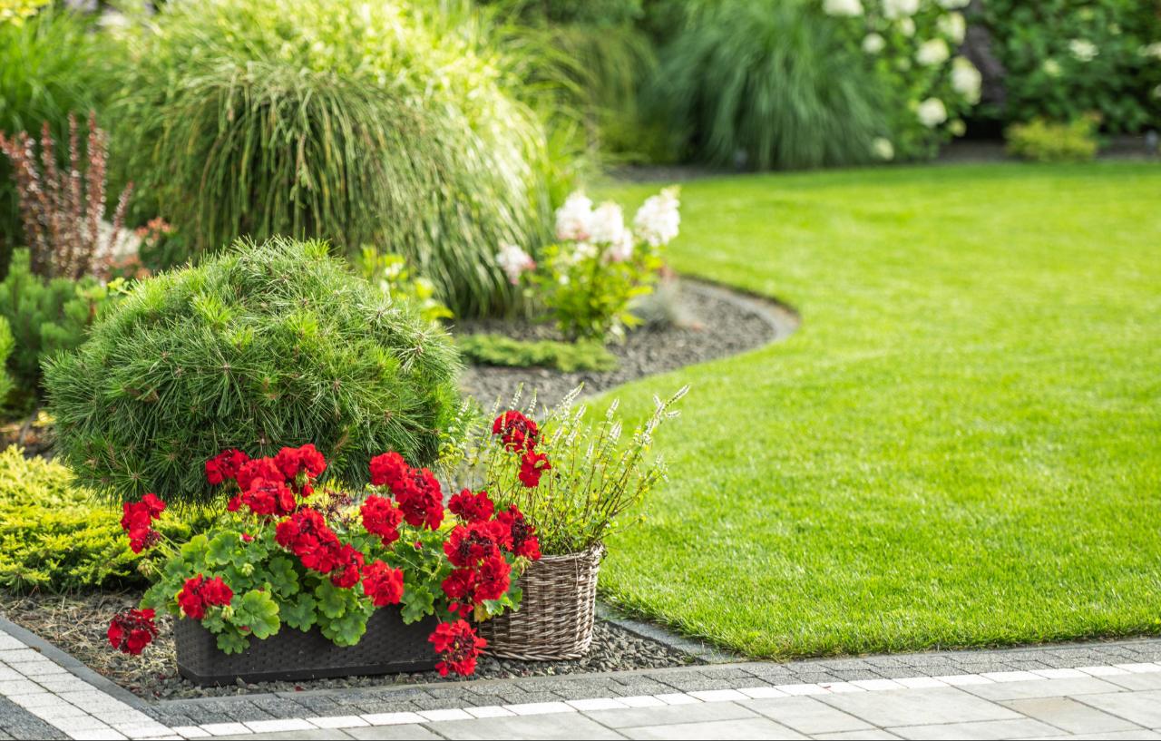 Port Charlotte landscaping services