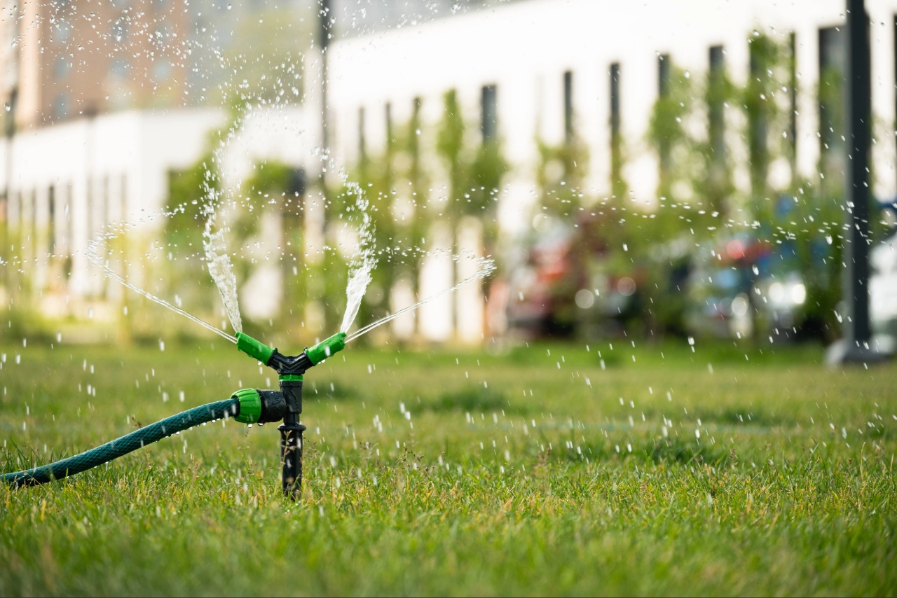 Florida landscaping guide
