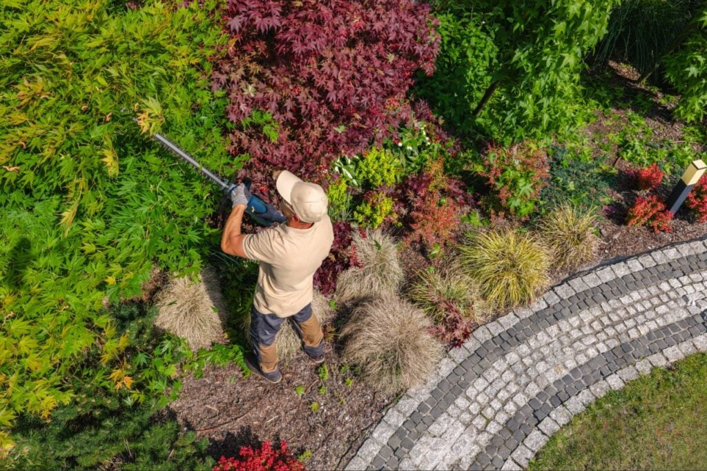 lawn care Port Charolotte FL