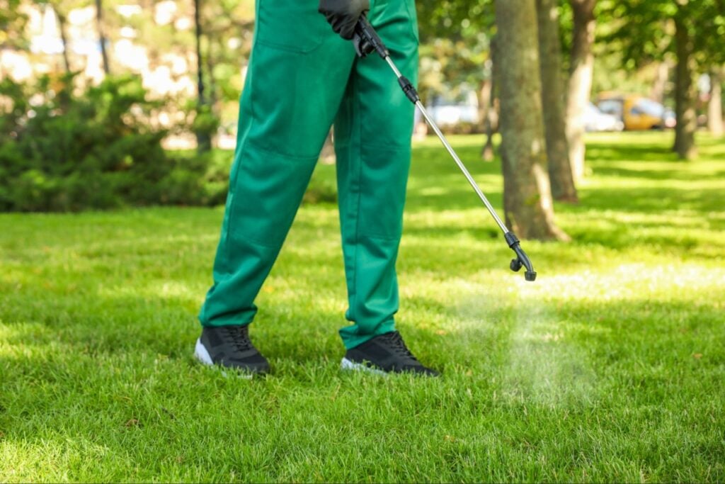 lawn pest control Port Charlotte FL