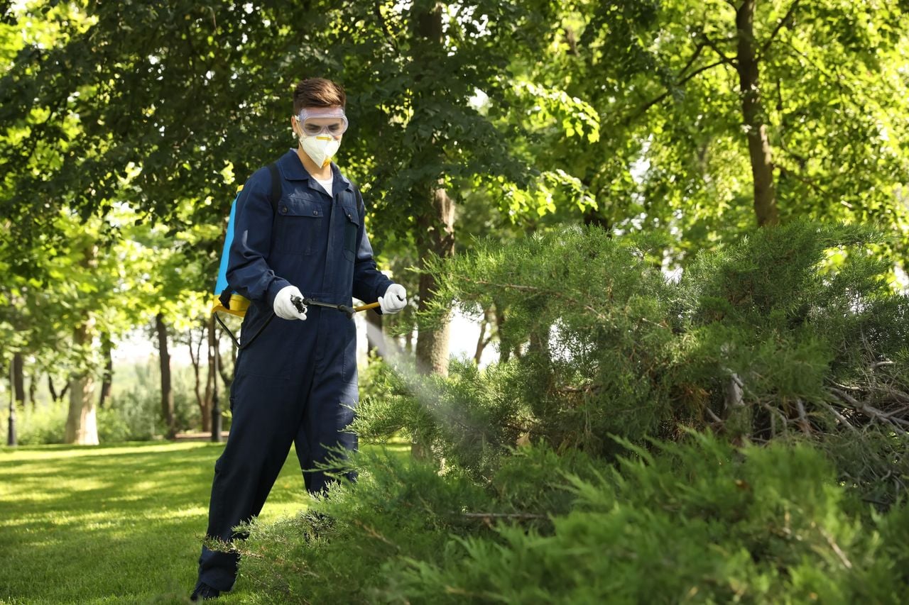 pest control in Port Charlotte FL