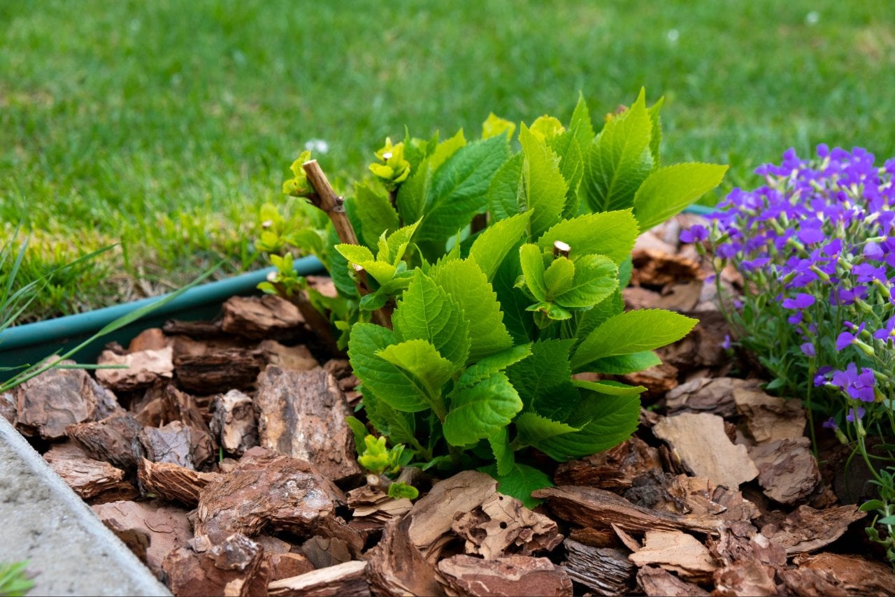 mulch installation Port Charlotte FL