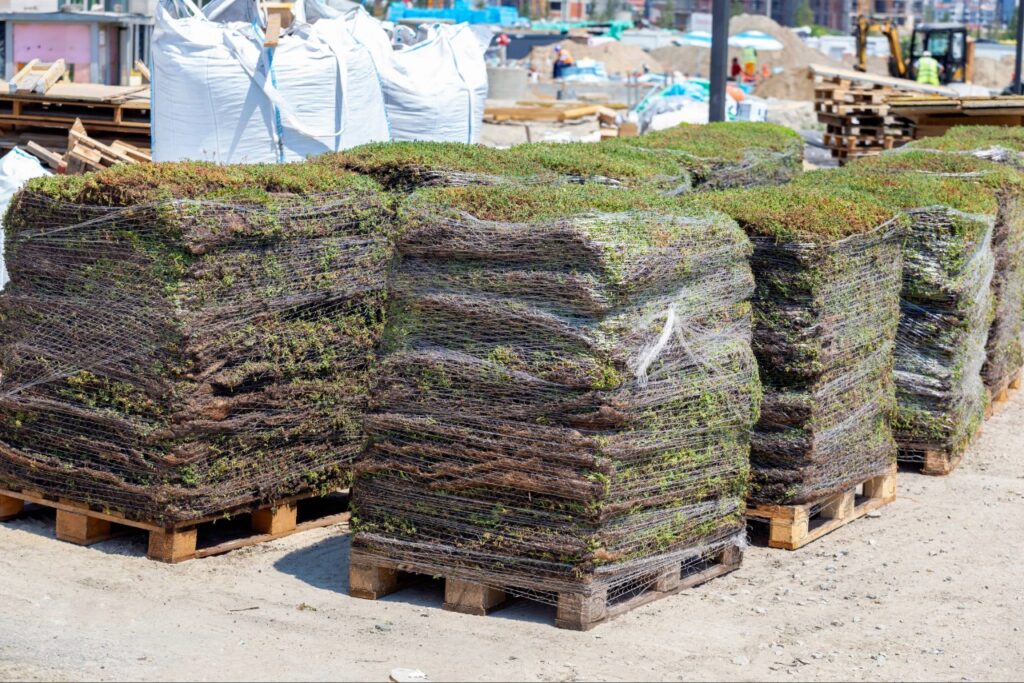 summer landscape supply tips Florida