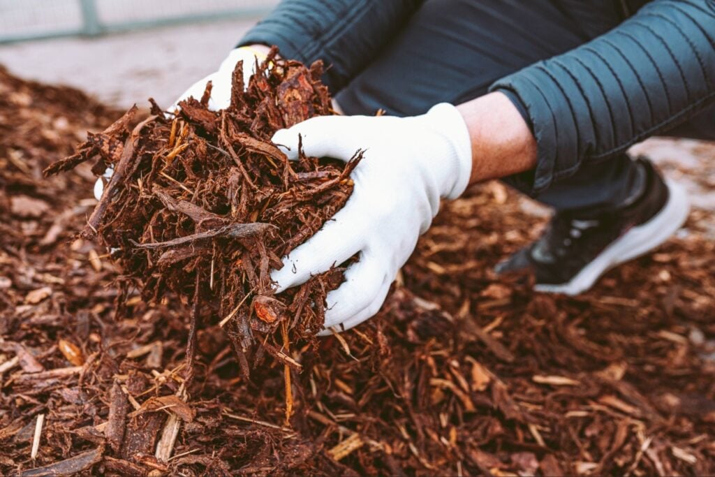 mulch supply Port Charlotte FL
