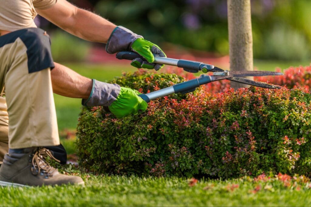 North Port landscaping services
