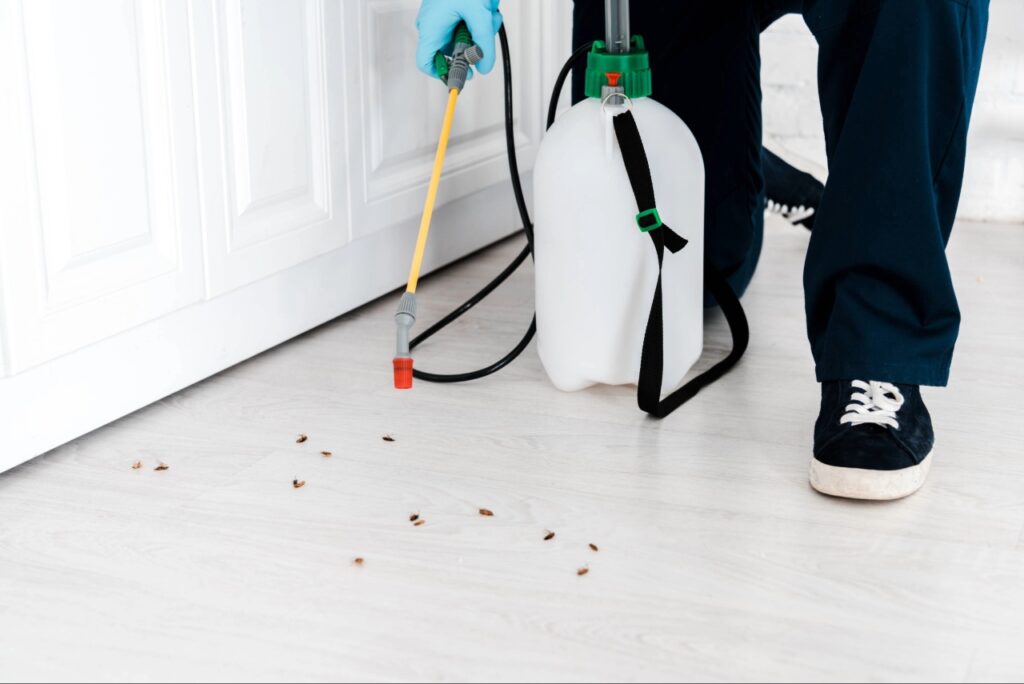 pest control El Jobean FL