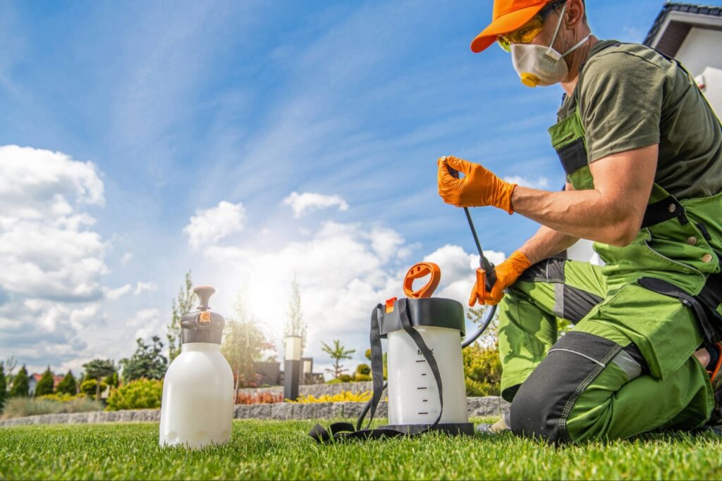 pest control in Port Charlotte FL