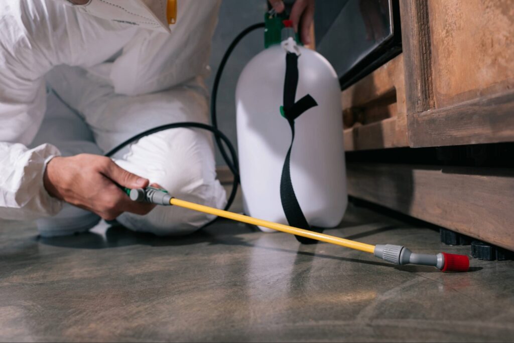 pest control Punta Gorda FL