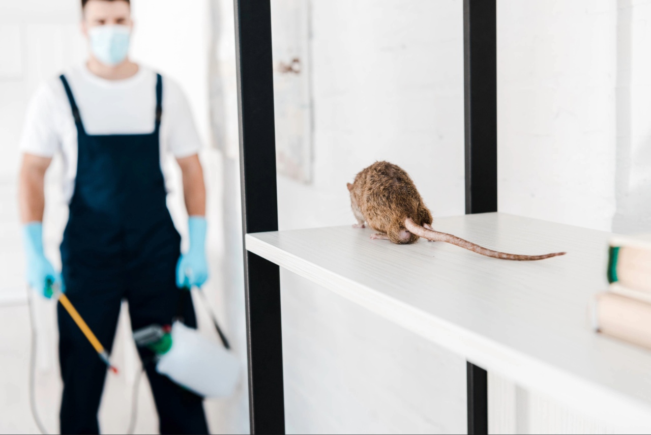 pest control Punta Gorda FL