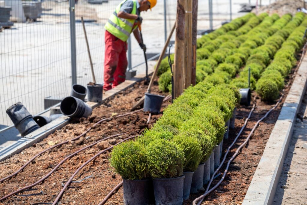 Placida landscaping services