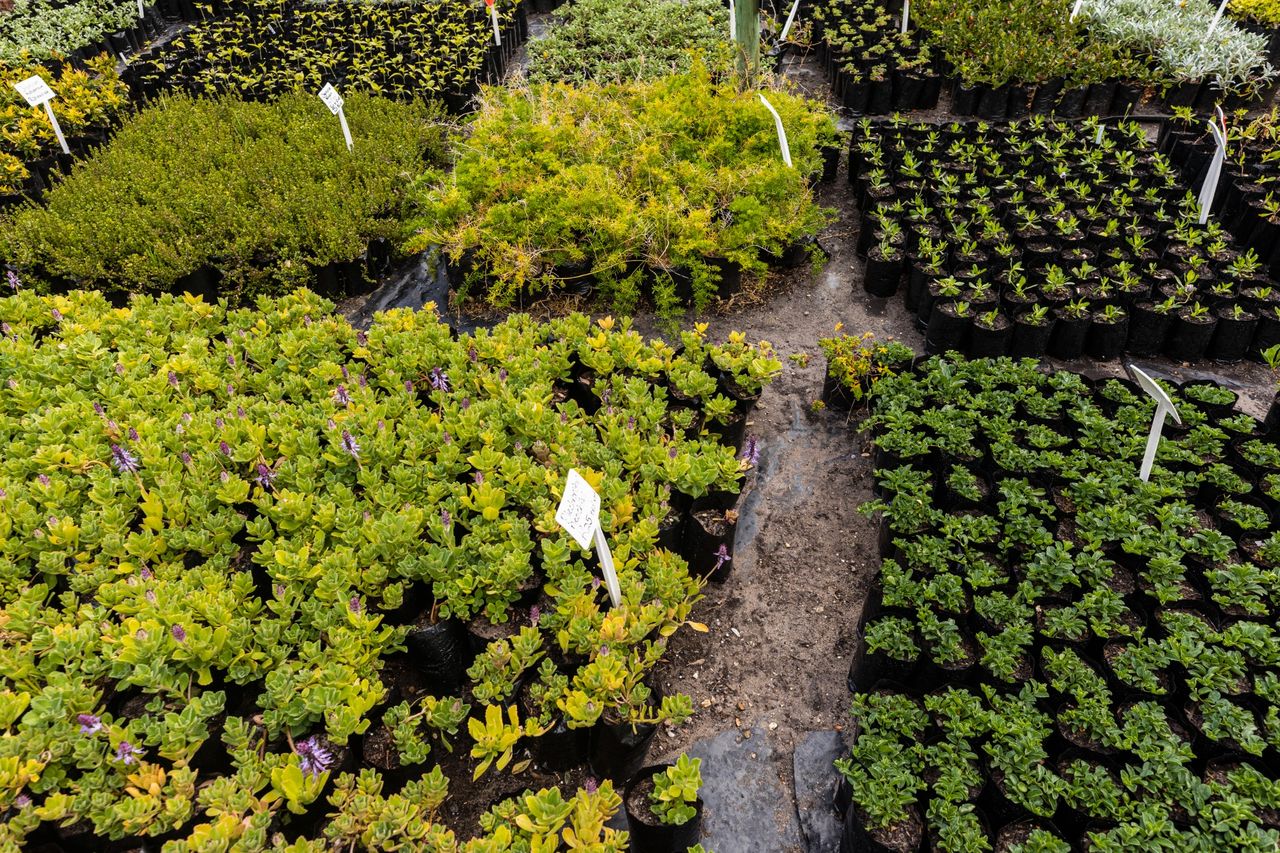 landscape supply Rotonda West FL