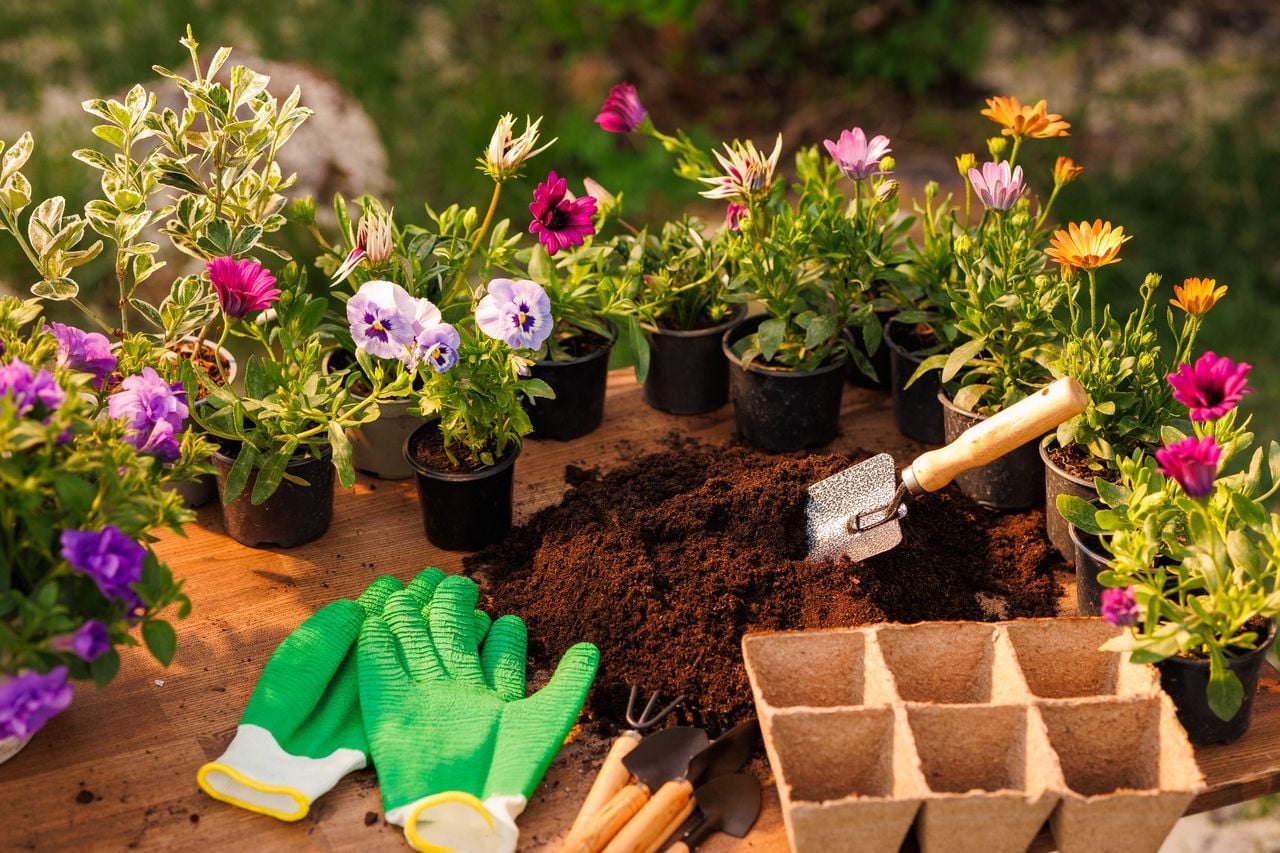 Landscape Supply Service Areas in Port Charlotte, FL 3 landscape supply Boca Grande FL