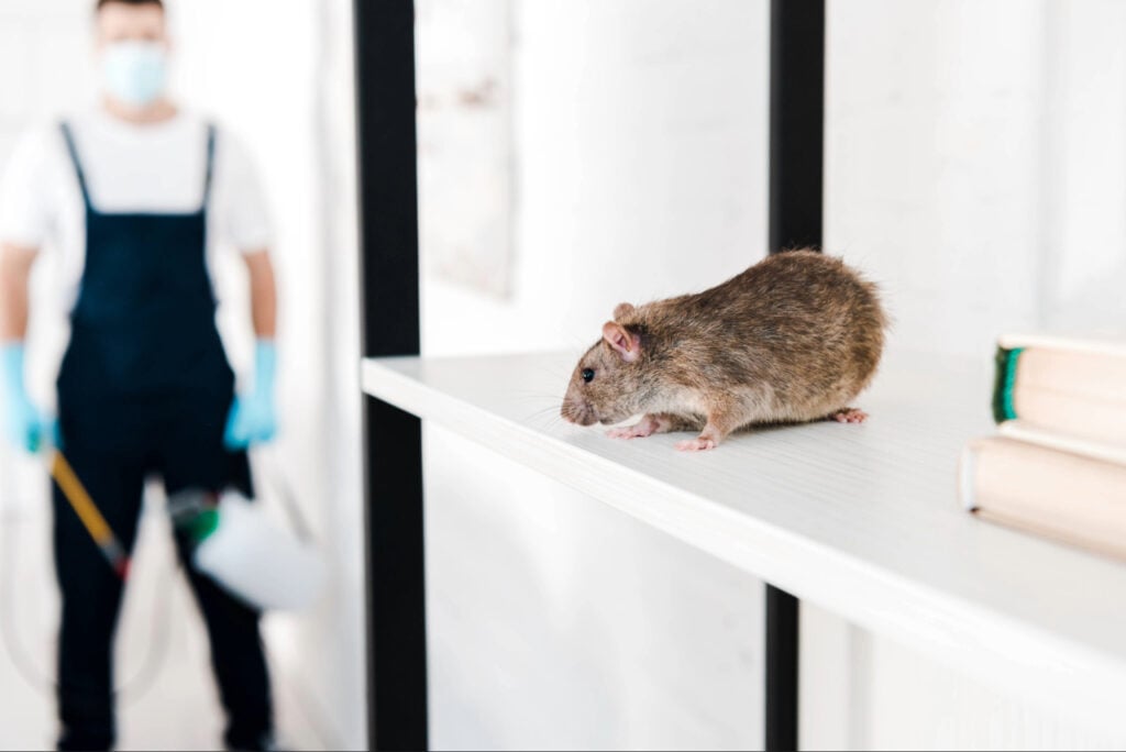 rodents control Port Charlotte FL