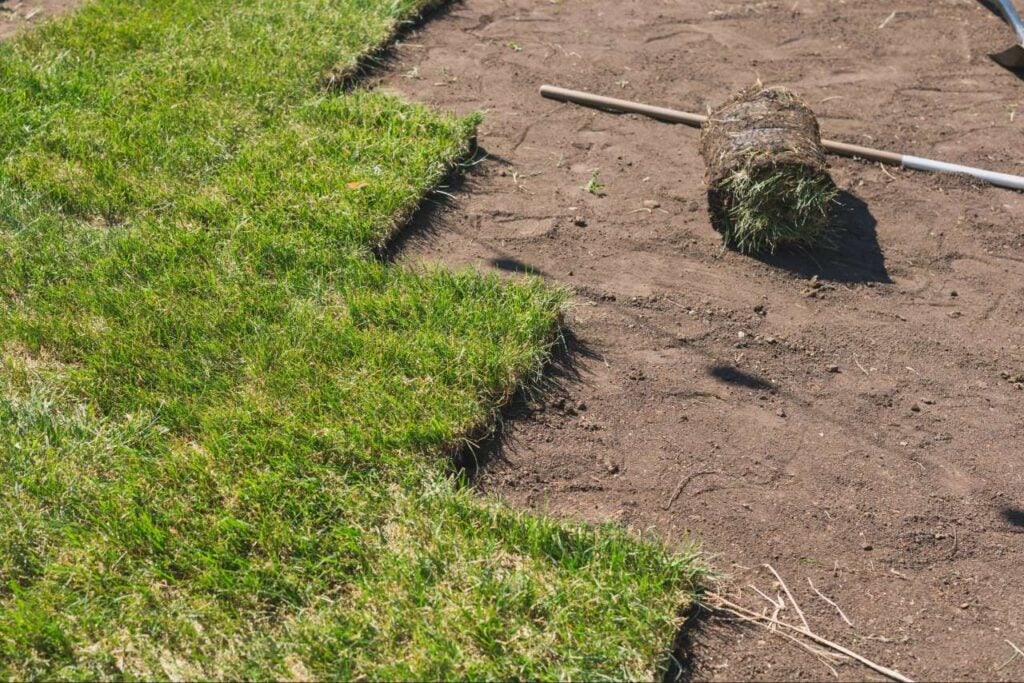 Sod Installation Port Charlotte FL