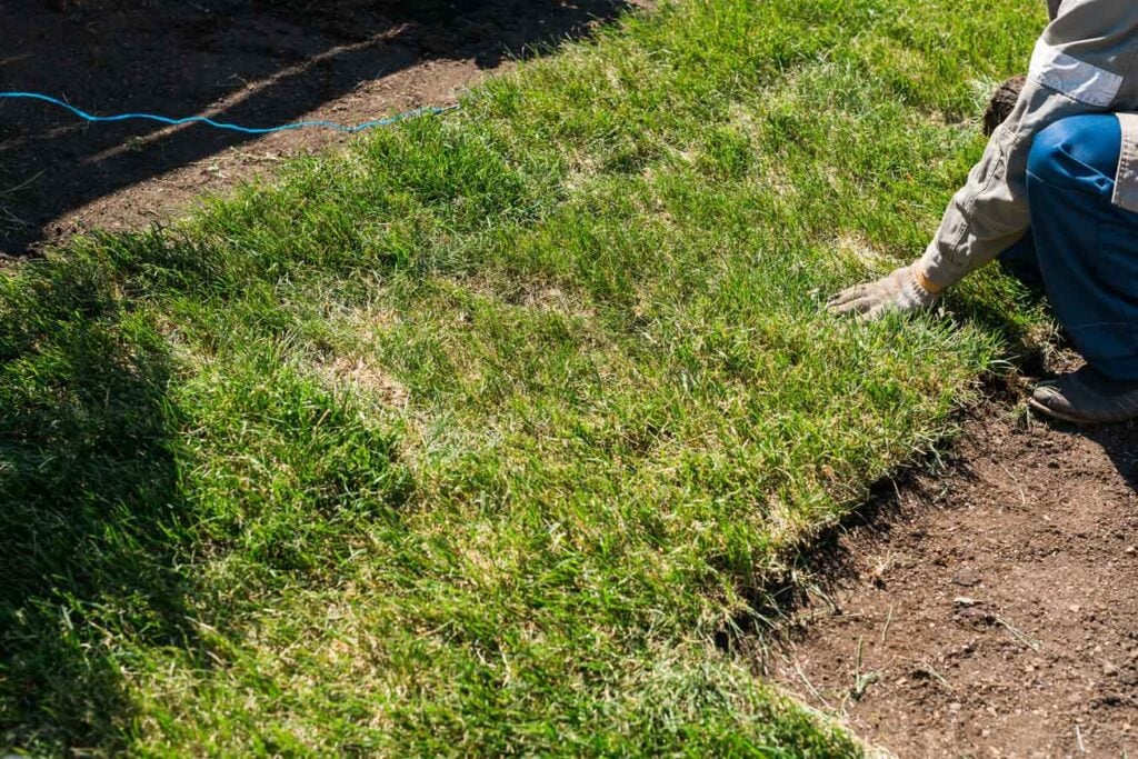 sod installation Port Charlotte FL