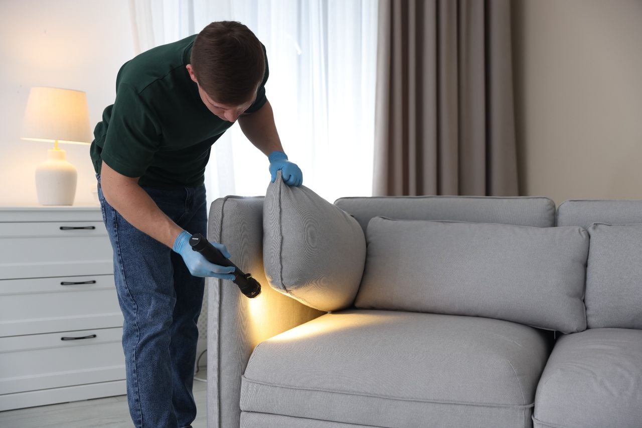 pest control Cape Haze FL