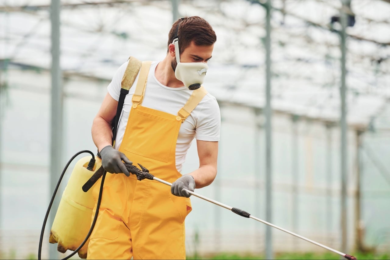summer pest control tips Florida