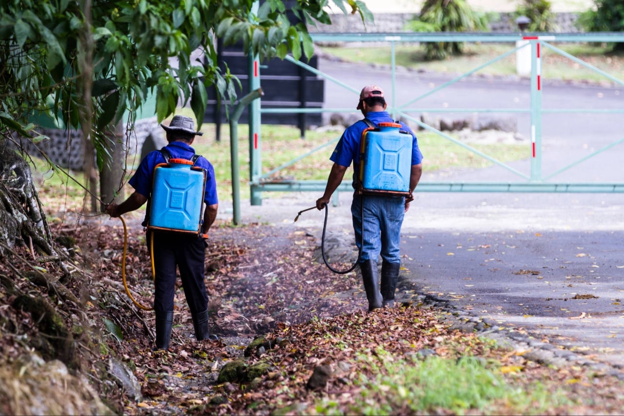 termite control Port Charlotte FL