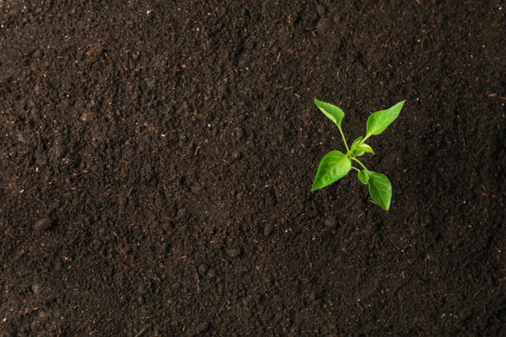topsoil supply Port Charlotte FL