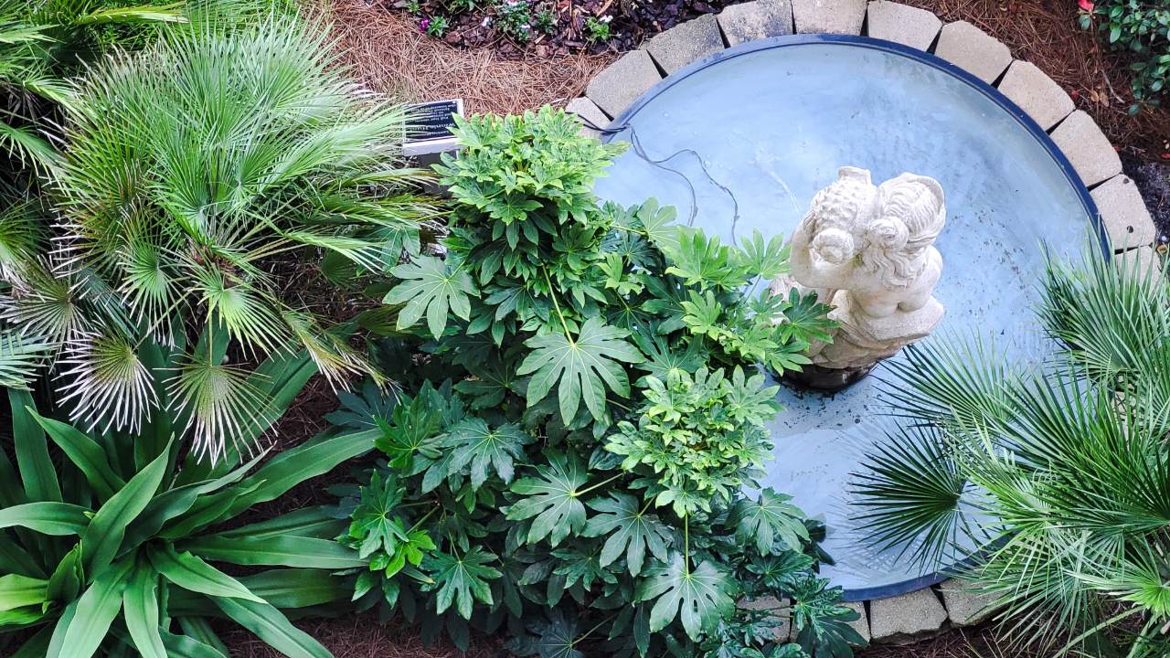 Landscape Design Punta Gorda FL