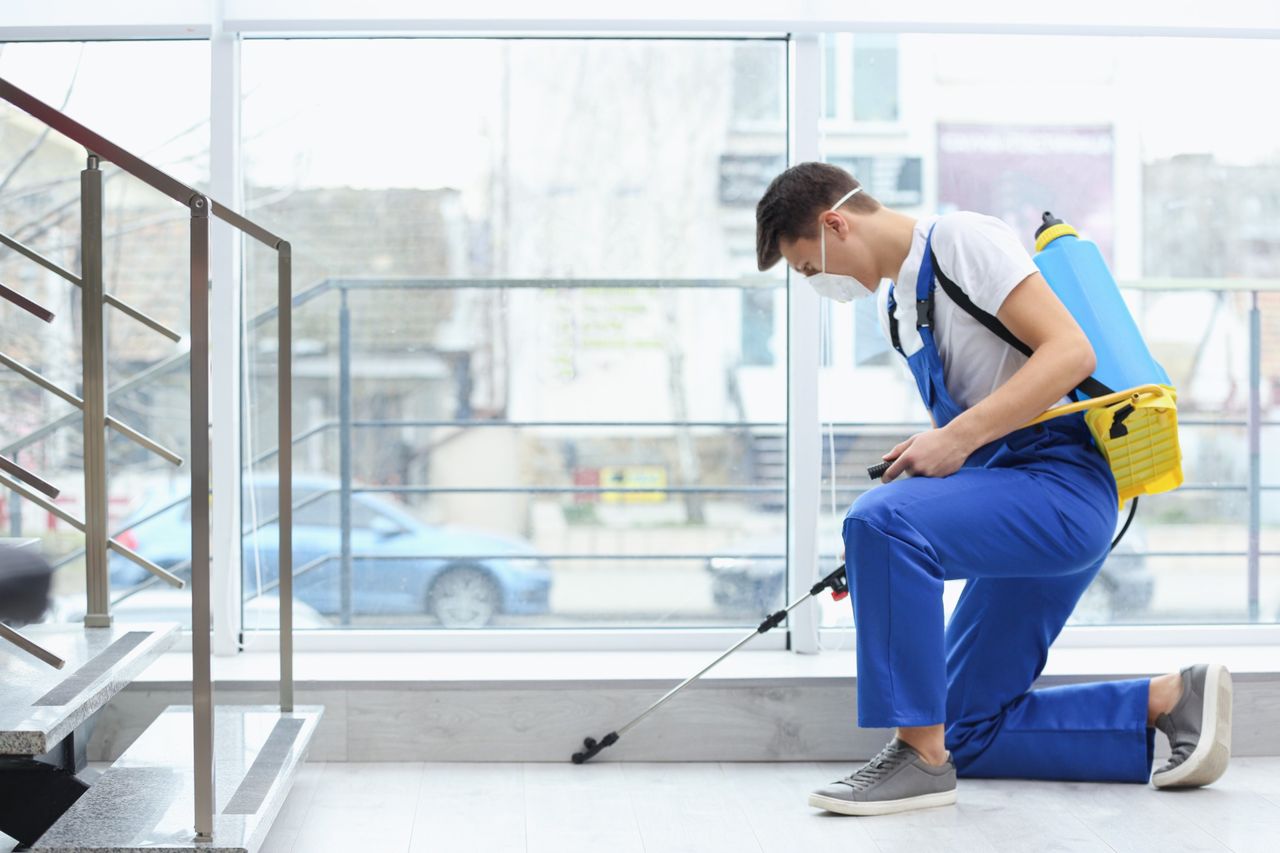 pest control Placida FL