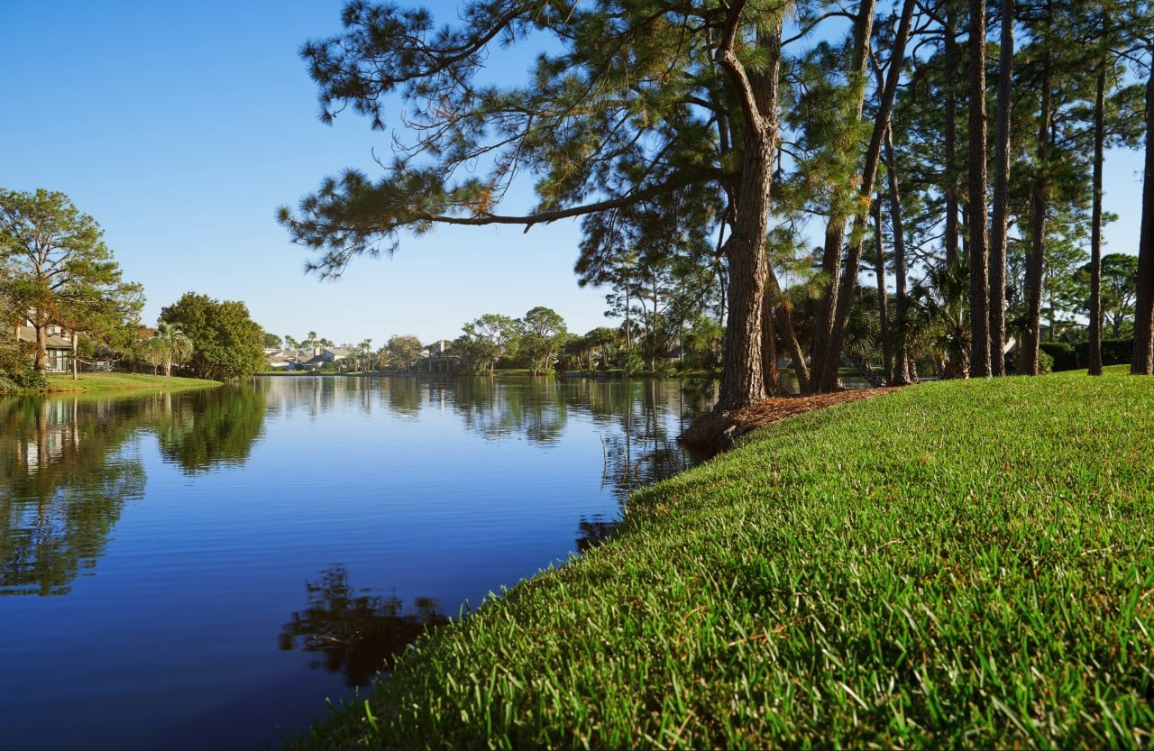 landscape and lawn care Port Charlotte FL