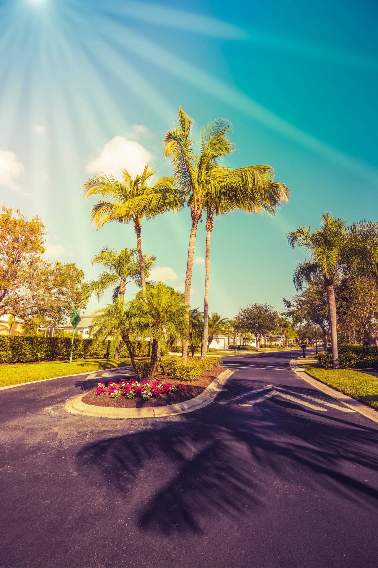 lawn care Port Charlotte FL