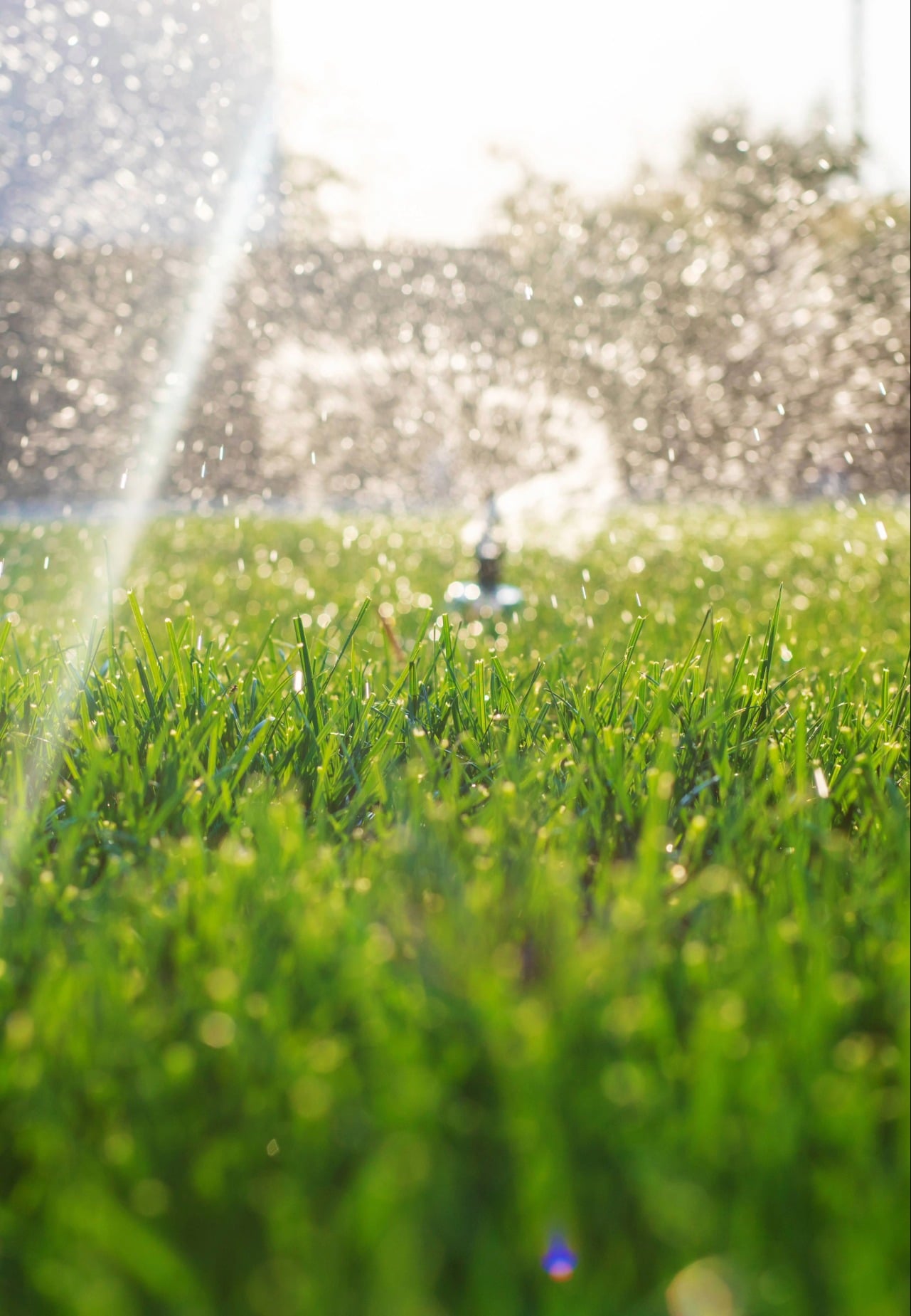 lawn care Port Charlotte FL
