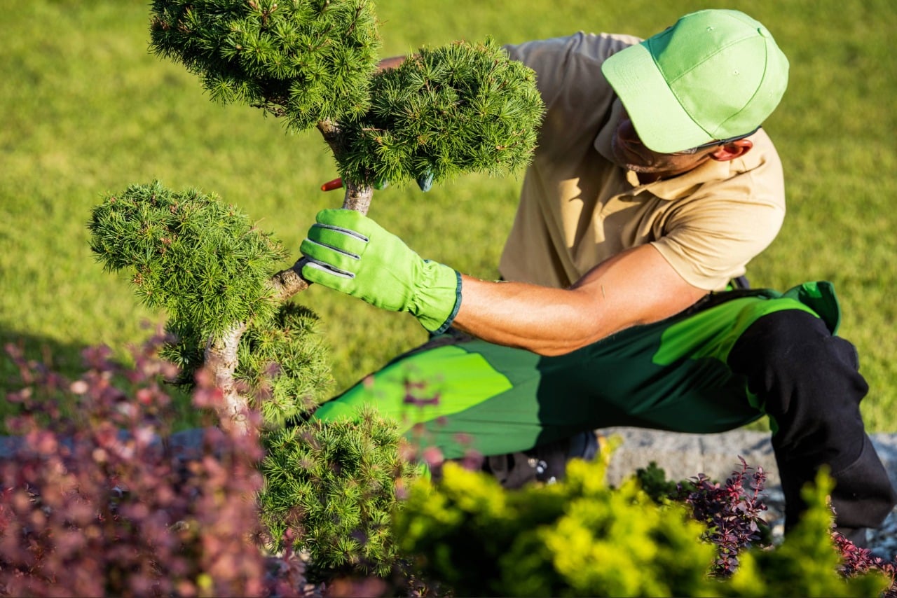 lawn care Port Charlotte FL