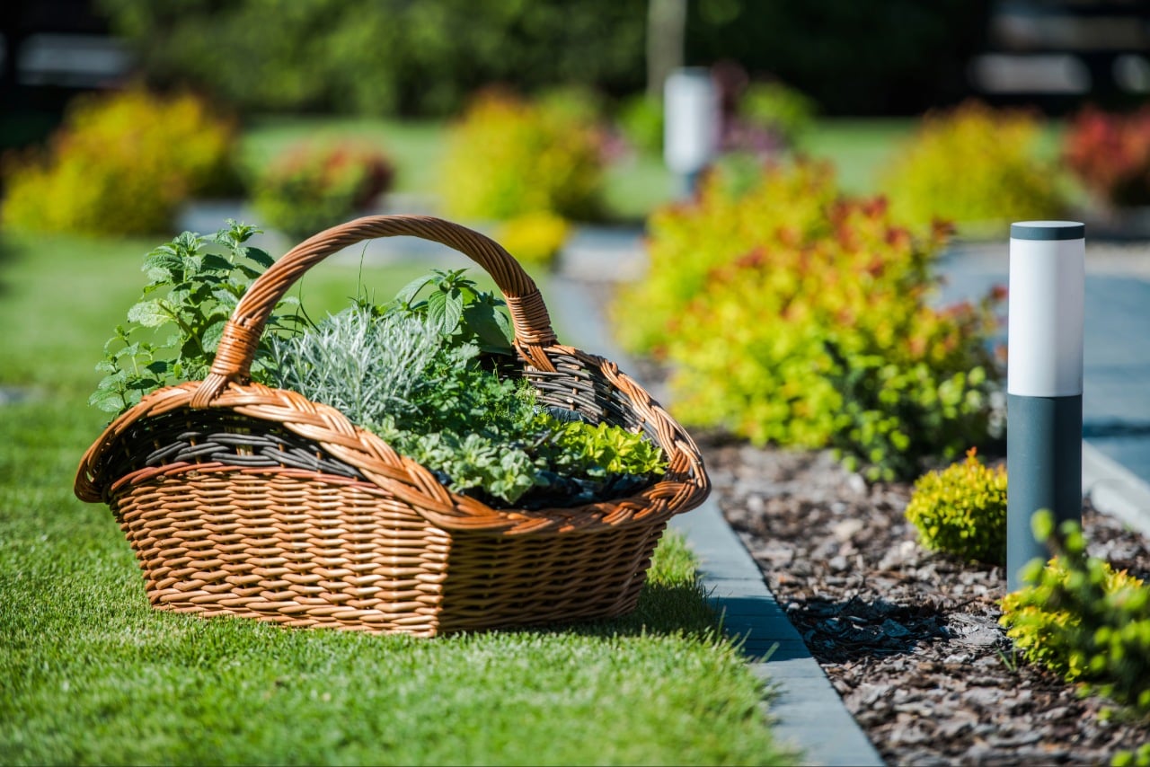 Lawn Care Port Charlotte FL