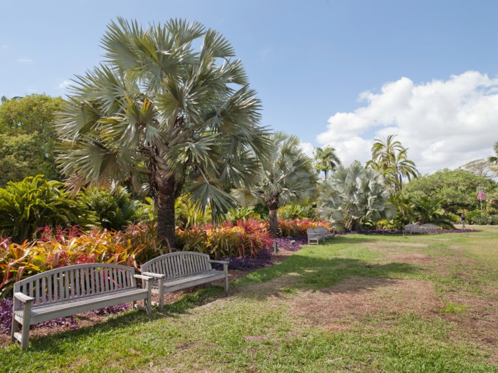 outdoor living spaces florida home