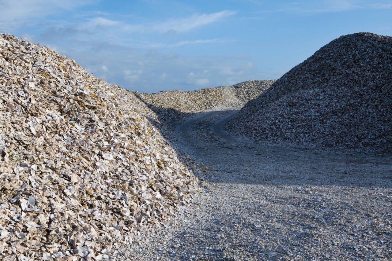 Shell supply Port Charlotte FL