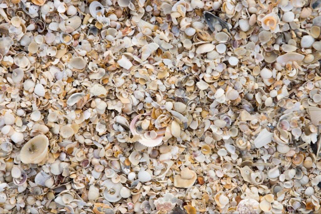 Shell supply Port Charlotte FL