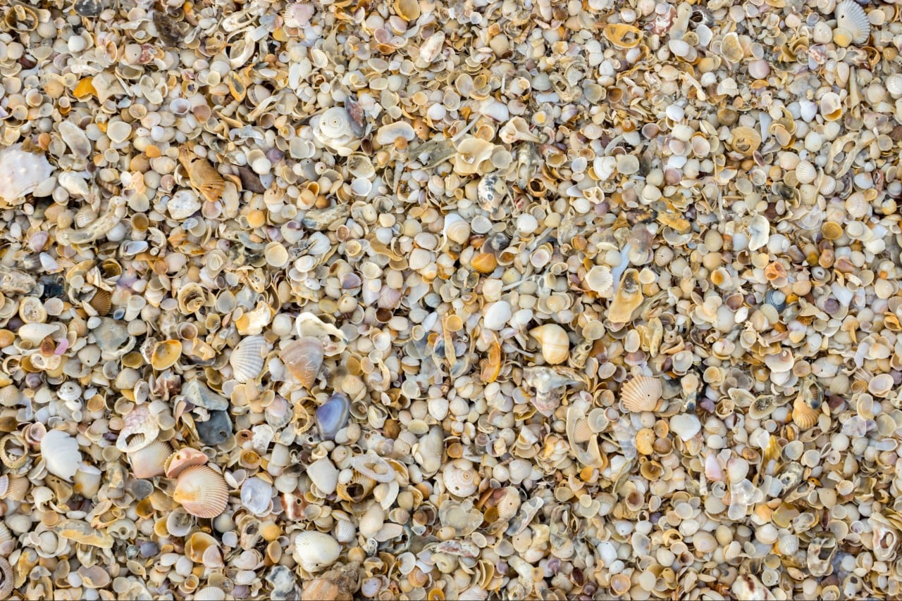 Shell supply Port Charlotte FL